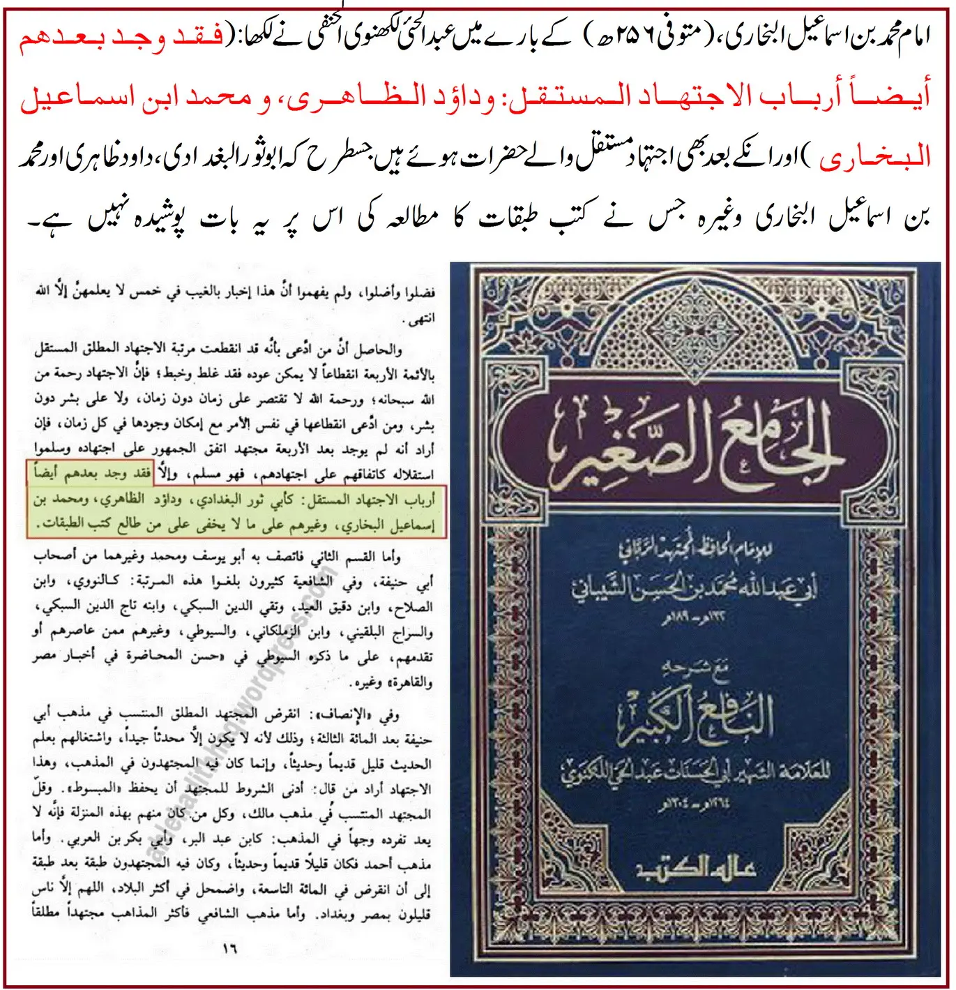 کیا امام بخاری شافعی مقلد تھے یا ایک ثقہ، مجتہد مطلق – 18 کیا امام بخاری شافعی مقلد تھے یا ایک ثقہ، مجتہد مطلق – 18
