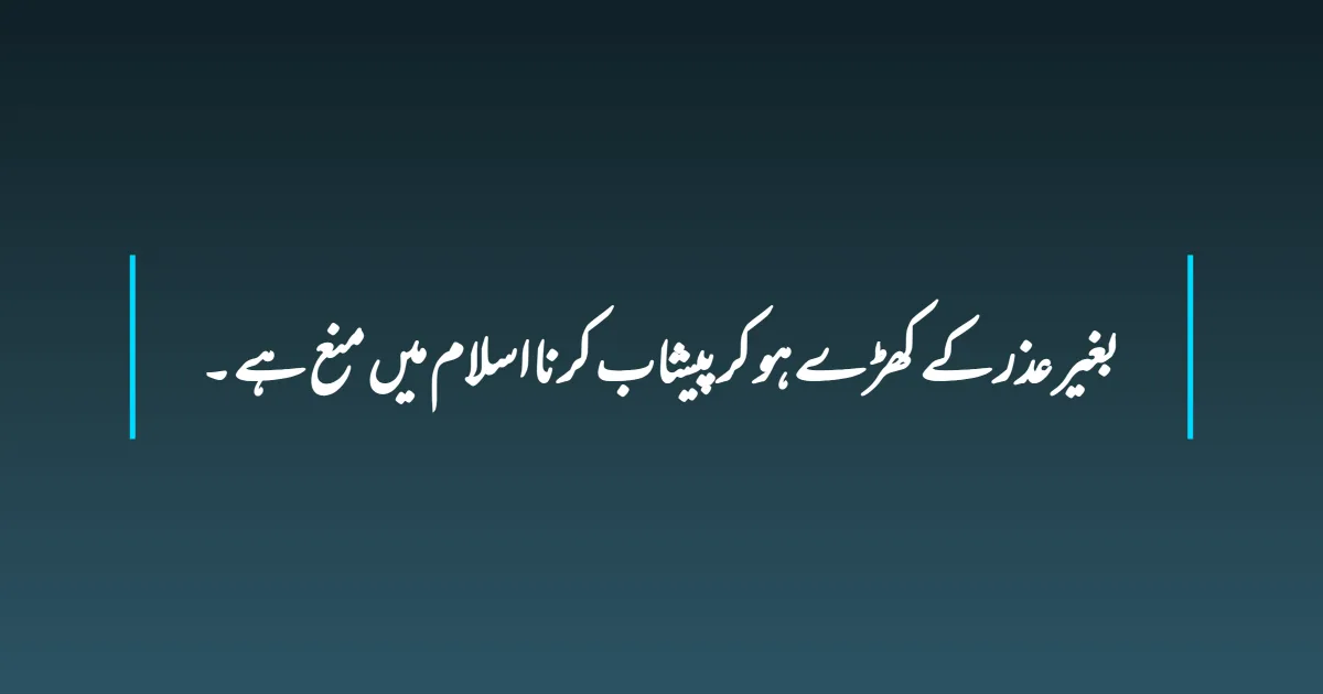 بغیر  عذر کے کھڑے ہو کر پیشاب کرنا اسلام میں منع ہے ۔