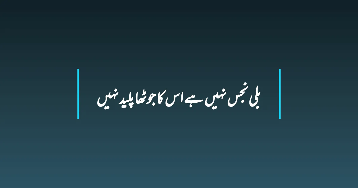 بلی نجس نہیں ہے اس کا جوٹھا پلید نہیں