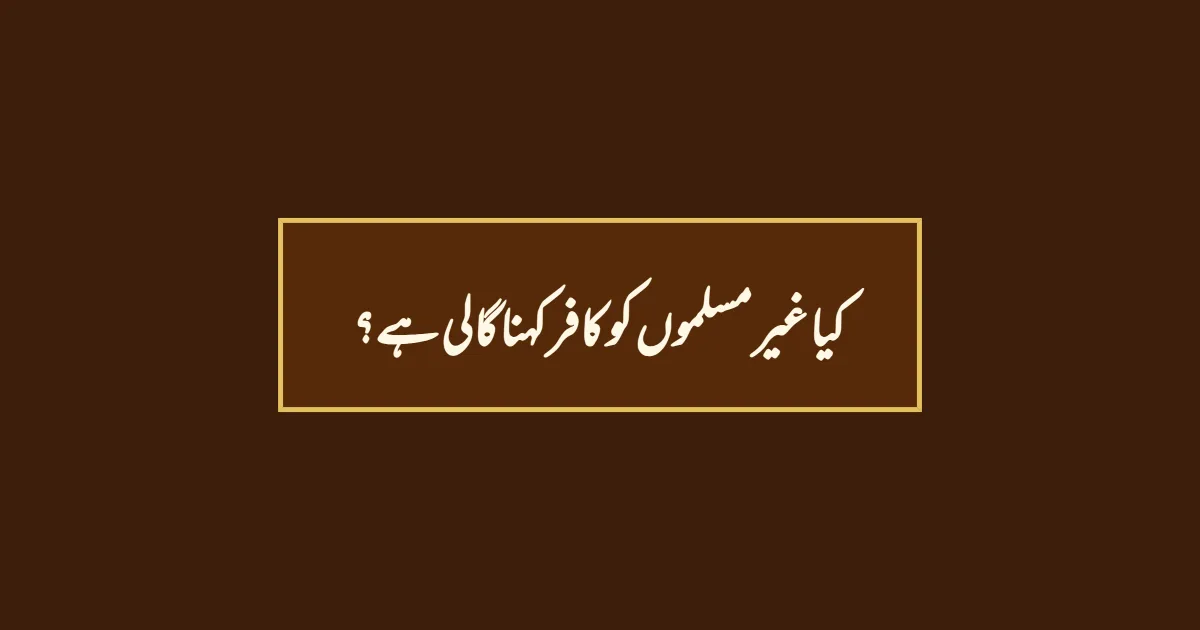 کیا غیر مسلموں کو کافر کہنا گالی ہے؟