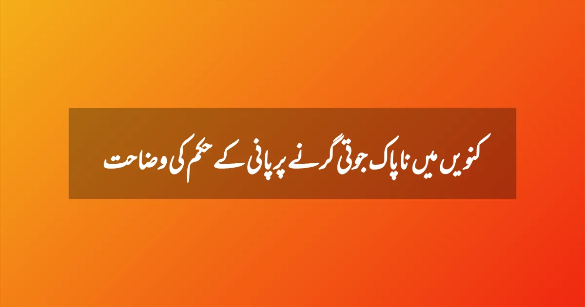 کنویں میں ناپاک جوتی گرنے پر پانی کے حکم کی وضاحت