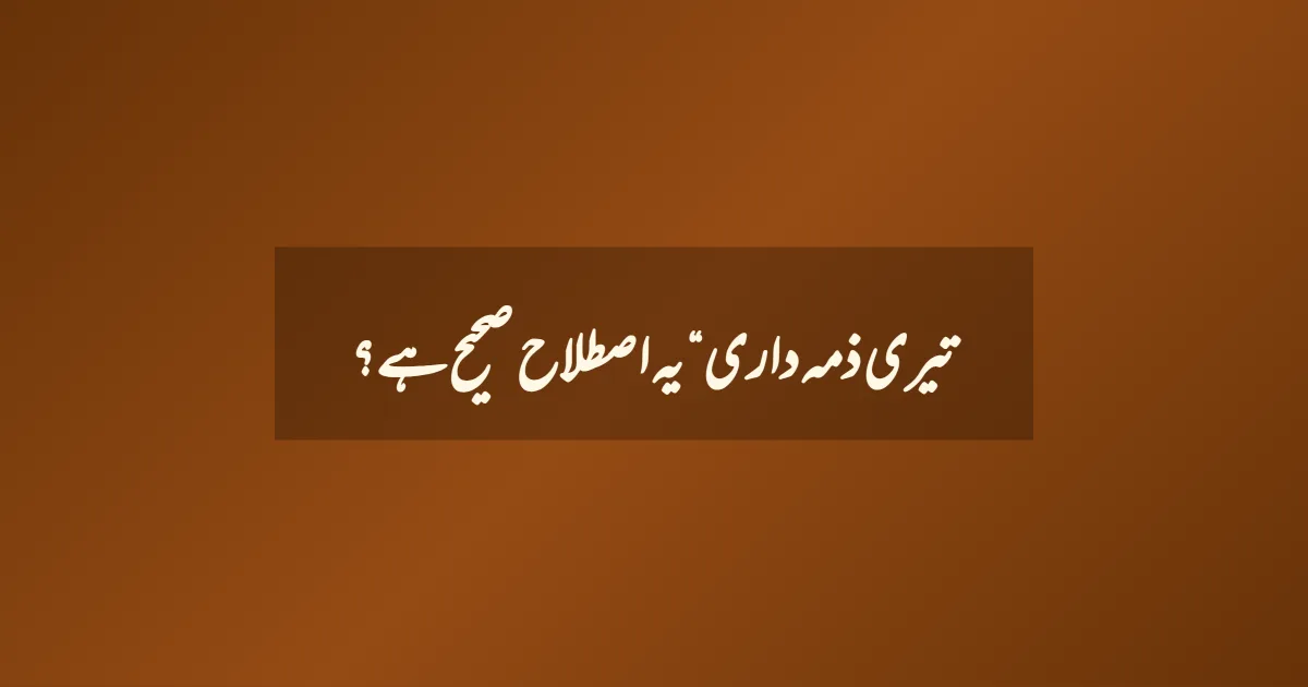 تیری ذمہ داری“ یہ اصطلاح صحیح ہے؟