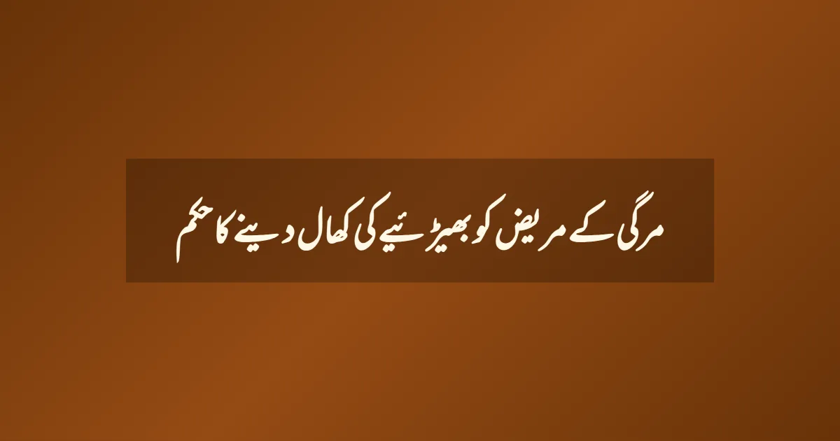 مرگی کے مریض کو بھیڑئیے کی کھال دینے کا حکم