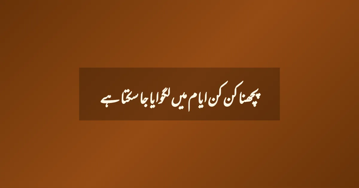 پچھنا کن کن ایام میں لگوایا جا سکتا ہے