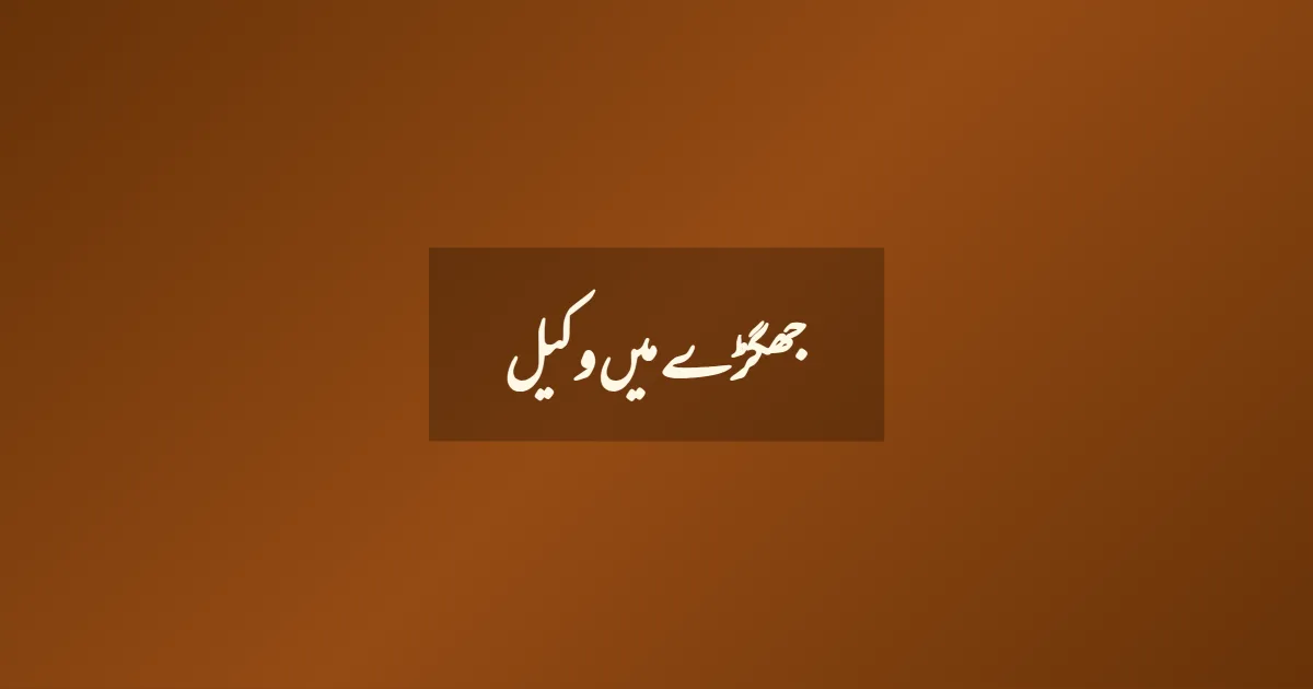 جھگڑے میں وکیل